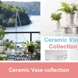 Ceramic Vase collection